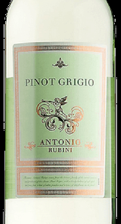 Pinot Grigio, Antonio Rubini